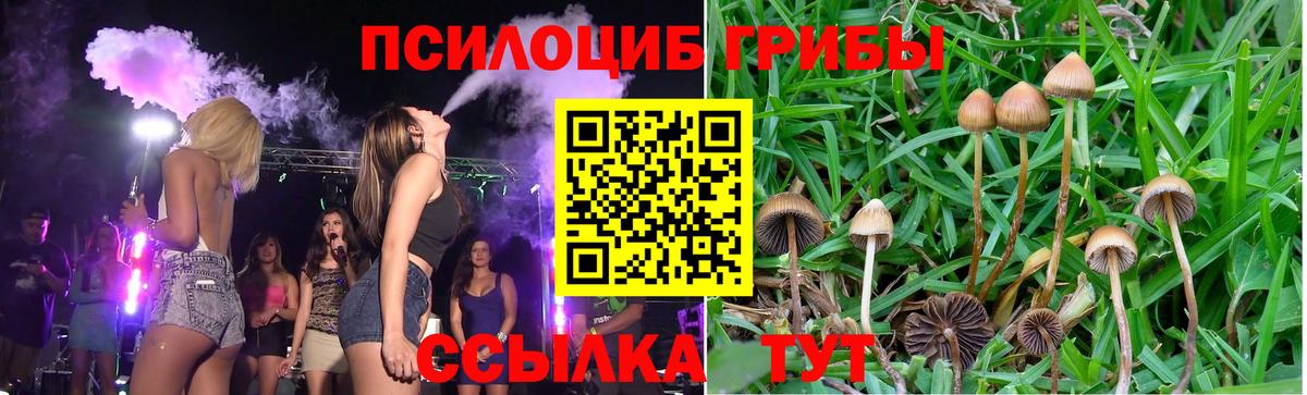 Галлюциногенные грибы GOLDEN TEACHER Коммунар