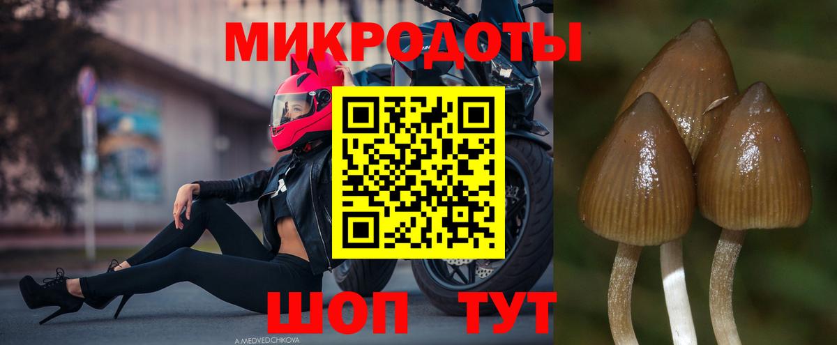 Коммунар  Псилоцибиновые грибы Magic Shrooms  Вход с VPN 